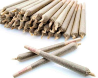 CANNABIS PRE-ROLLED FILLING MACHINE